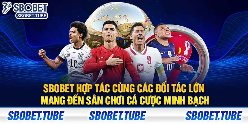 SBOBET hợp tác cùng các đối tác lớn mang đến sân chơi cá cược minh bạch